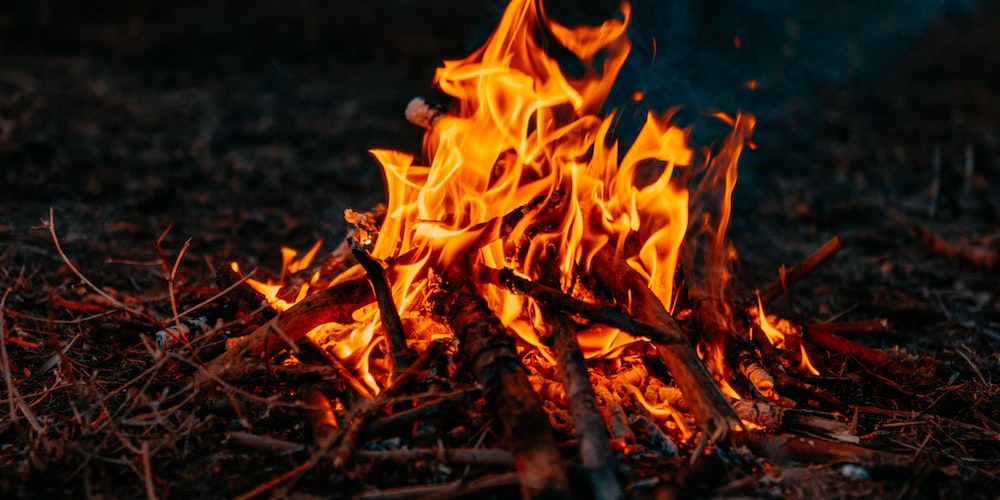 Which Fire Wallet Suits Your Needs Best?