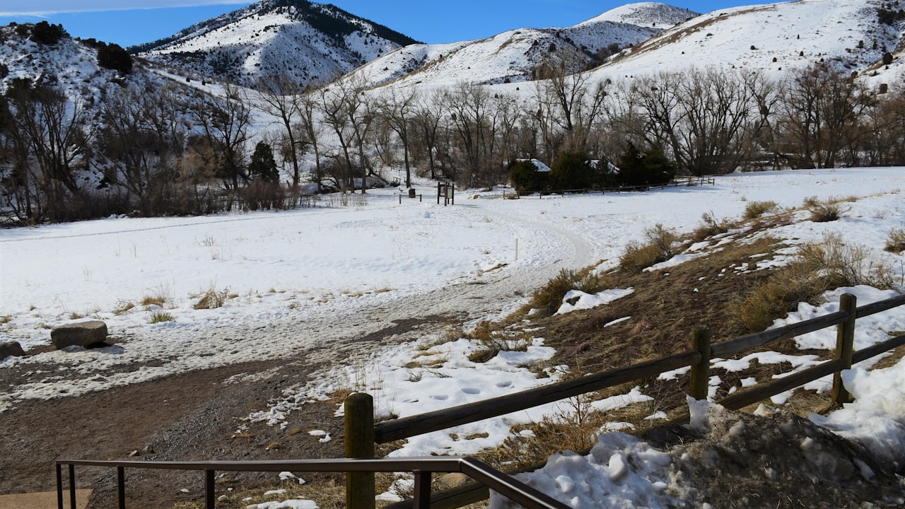 All About Golden Lanterns